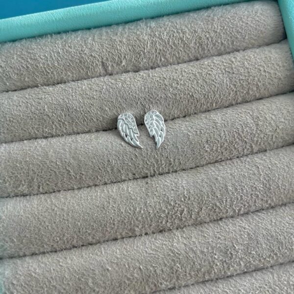 BRINCO ASAS CRAVEJADAS - PRATA 925