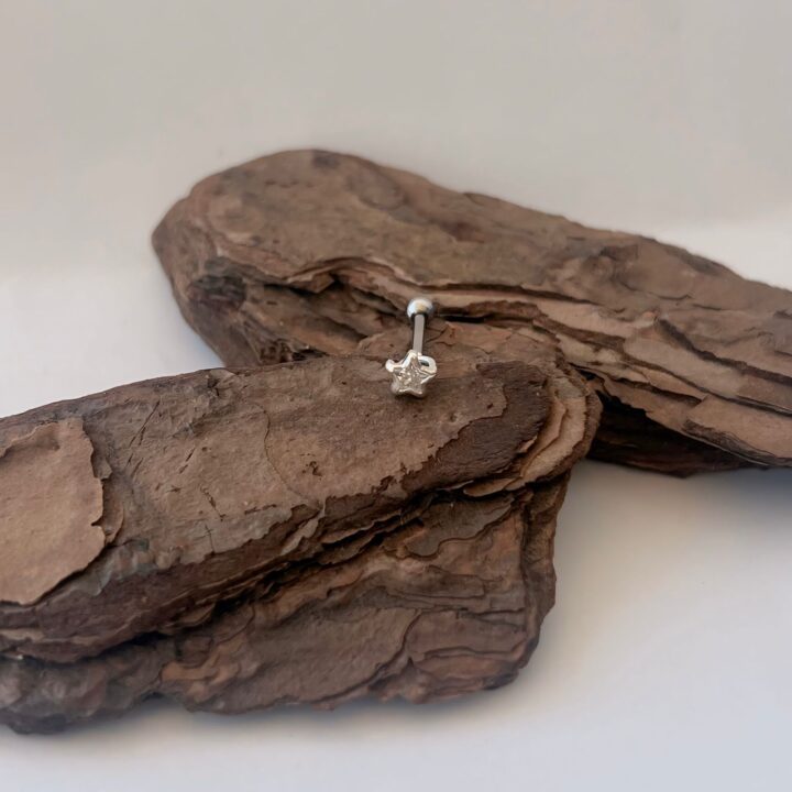 PIERCING ORELHA ESTRELA - PRATA 925