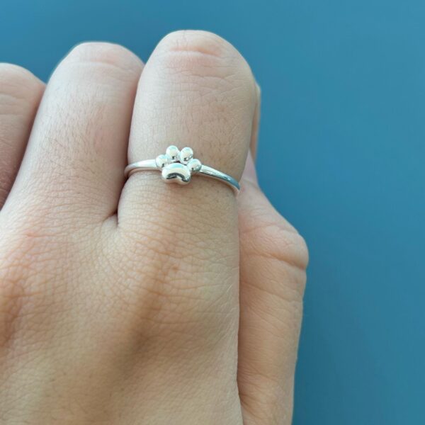 ANEL PATA - PRATA 925 - 17