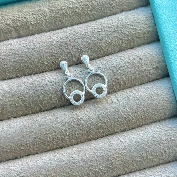 BRINCO CÍRCULO ZIRCÔNIAS - PRATA  925