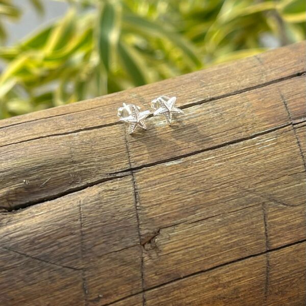 BRINCO ESTRELA DO MAR - PRATA 925