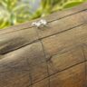 15257602940-bl18-2.jpg BRINCO CORAÇÃO P - PRATA 925