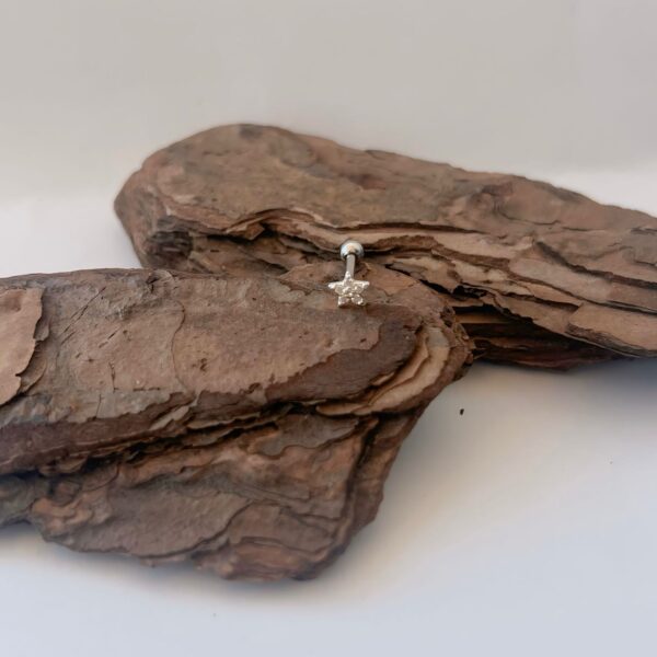 PIERCING ORELHA ESTRELA CRAVEJADA - PRATA 925