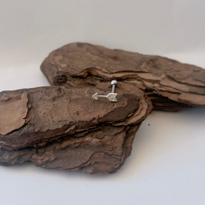 15280128923-whatsapp-image-2024-06-20-at-11-00-06-1.jpeg PIERCING ORELHA FLECHA CRAVEJADA - PRATA 925