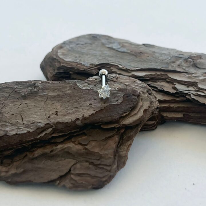 15295088211-whatsapp-image-2024-08-09-at-09-47-03-1.jpeg PIERCING ORELHA GOTA ZIRCÔNIA - PRATA 925