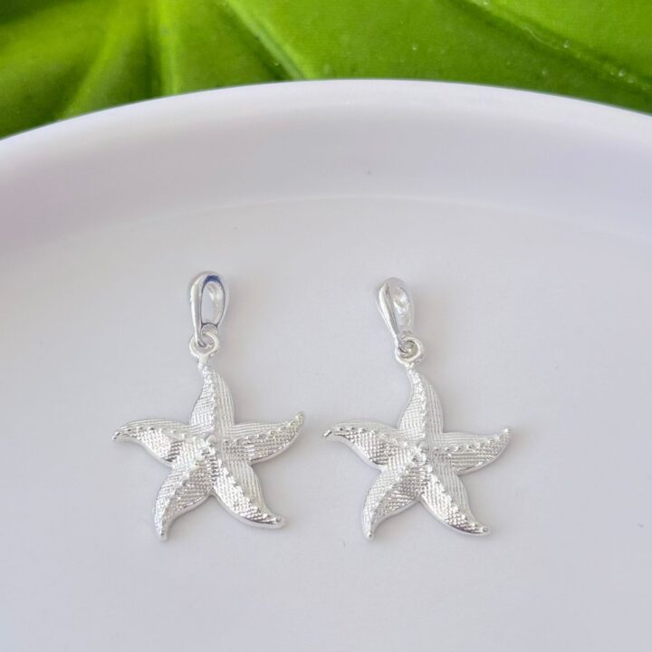 15457289222-whatsapp-image-2026-02-19-at-09-11-32-1.jpeg PINGENTE ESTRELA DO MAR - PRATA 925