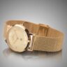 2025LTX/1X Relógio Technos Feminino Slim Dourado